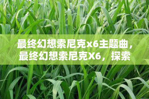 最终幻想索尼克x6主题曲，最终幻想索尼克X6，探索未知世界的奇幻冒险