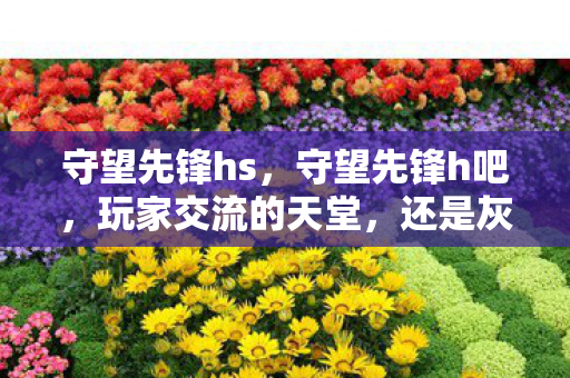 守望先锋hs，守望先锋h吧，玩家交流的天堂，还是灰色产业的温床？