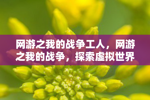 网游之我的战争工人，网游之我的战争，探索虚拟世界的无限可能