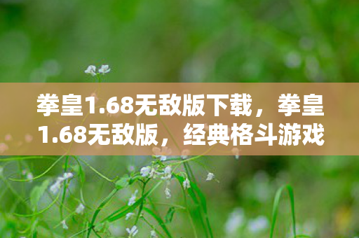 拳皇1.68无敌版下载，拳皇1.68无敌版，经典格斗游戏的全新体验