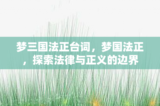 梦三国法正台词，梦国法正，探索法律与正义的边界