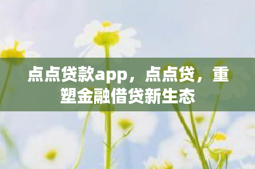 点点贷款app，点点贷，重塑金融借贷新生态