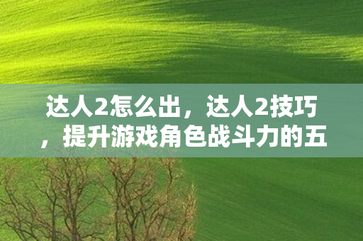 达人2怎么出，达人2技巧，提升游戏角色战斗力的五大秘诀