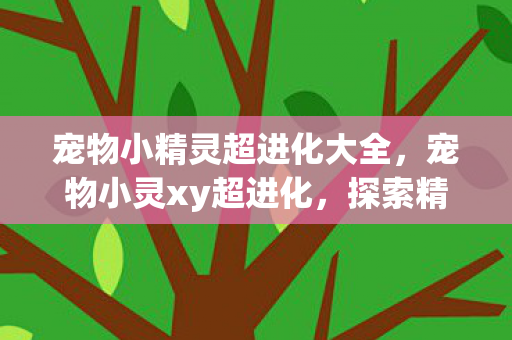 宠物小精灵超进化大全，宠物小灵xy超进化，探索精灵世界的奇妙旅程