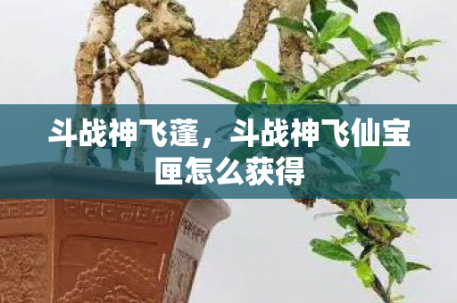 斗战神飞蓬，斗战神飞仙宝匣怎么获得