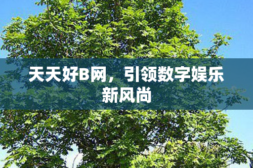 天天好B网,引领数字娱乐新风尚 天天好B网,引领数字娱乐新风尚