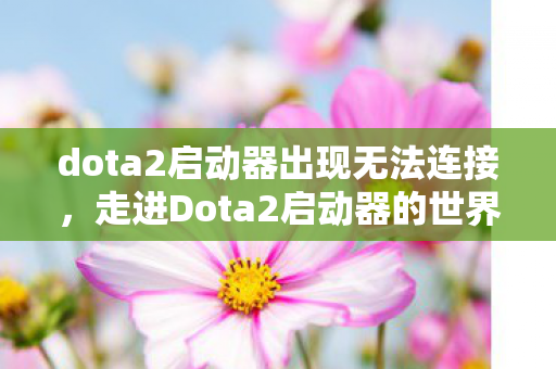dota2启动器出现无法连接，走进Dota2启动器的世界，探索官方平台的魅力与功能