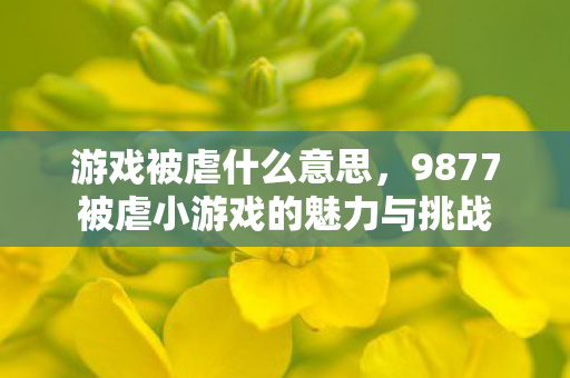 游戏被虐什么意思，9877被虐小游戏的魅力与挑战