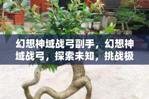 幻想神域战弓副手，幻想神域战弓，探索未知，挑战极限