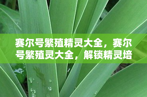 赛尔号繁殖精灵大全，赛尔号繁殖灵大全，解锁精灵培育的奥秘