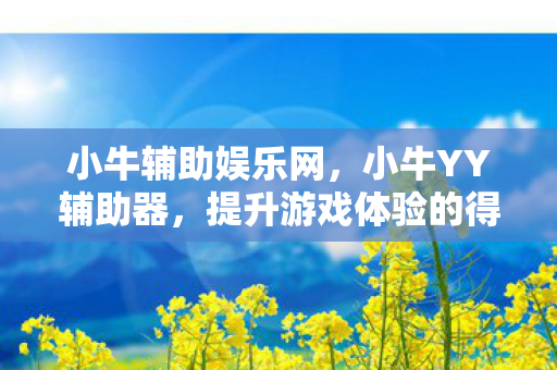 小牛辅助娱乐网，小牛YY辅助器，提升游戏体验的得力助手