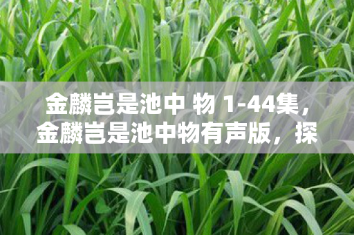 金麟岂是池中 物 1-44集，金麟岂是池中物有声版，探索游戏世界的无限可能