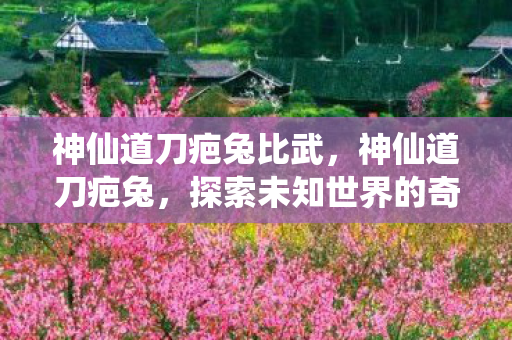 神仙道刀疤兔比武，神仙道刀疤兔，探索未知世界的奇妙旅程