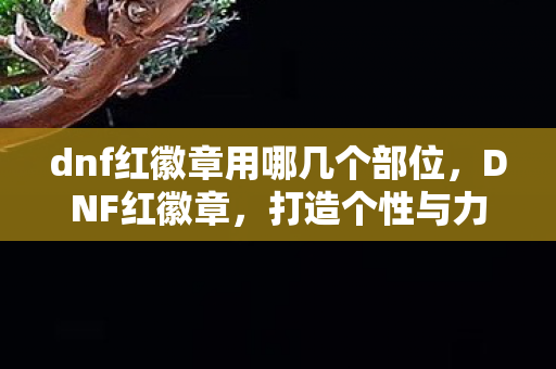 dnf红徽章用哪几个部位，DNF红徽章，打造个性与力量的象征