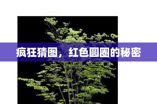 疯狂猜图，红色圆圈的秘密