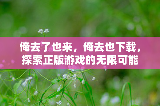 俺去了也来，俺去也下载，探索正版游戏的无限可能