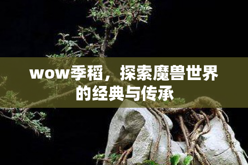 wow季稻，探索魔兽世界的经典与传承