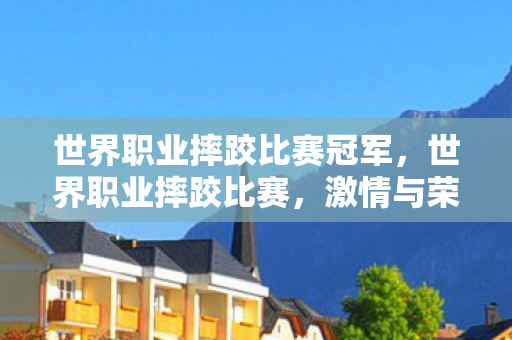 世界职业摔跤比赛冠军，世界职业摔跤比赛，激情与荣耀的碰撞