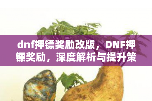 dnf押镖奖励改版，DNF押镖奖励，深度解析与提升策略