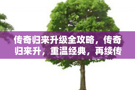 传奇归来升级全攻略，传奇归来升，重温经典，再续传奇