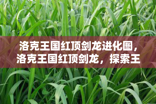 洛克王国红顶剑龙进化图，洛克王国红顶剑龙，探索王国中的神秘生物