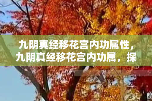 九阴真经移花宫内功属性，九阴真经移花宫内功属，探寻武侠世界的奥秘