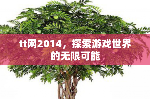 tt网2014，探索游戏世界的无限可能