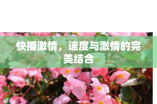 快播激情,速度与激情的完美结合 快播激情,速度与激情的完美结合