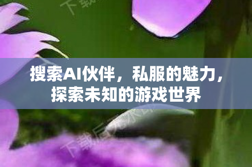 搜索AI伙伴，私服的魅力，探索未知的游戏世界