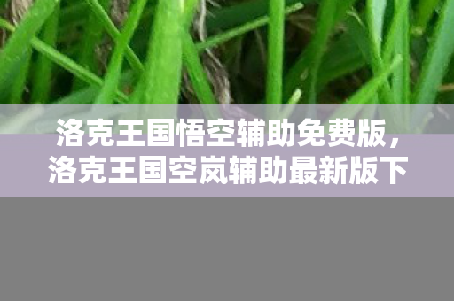 洛克王国悟空辅助免费版，洛克王国空岚辅助最新版下载，安全、高效、便捷的游戏体验