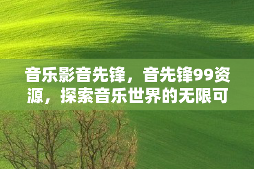 音乐影音先锋，音先锋99资源，探索音乐世界的无限可能