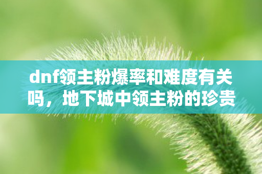 dnf领主粉爆率和难度有关吗，地下城中领主粉的珍贵与追求，揭秘真实爆率背后的故事