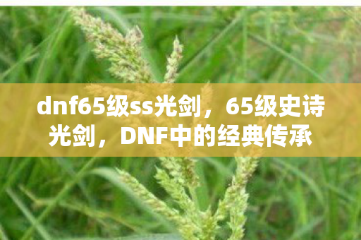 dnf65级ss光剑，65级史诗光剑，DNF中的经典传承