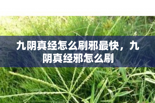 九阴真经怎么刷邪最快，九阴真经邪怎么刷