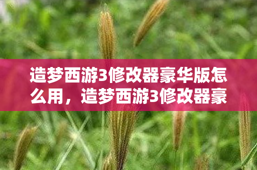 造梦西游3修改器豪华版怎么用，造梦西游3修改器豪华版，解锁无限可能的冒险之旅