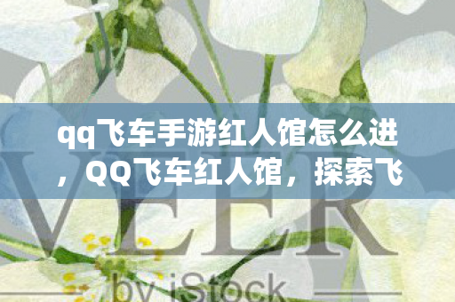 qq飞车手游红人馆怎么进，QQ飞车红人馆，探索飞车世界的璀璨之星
