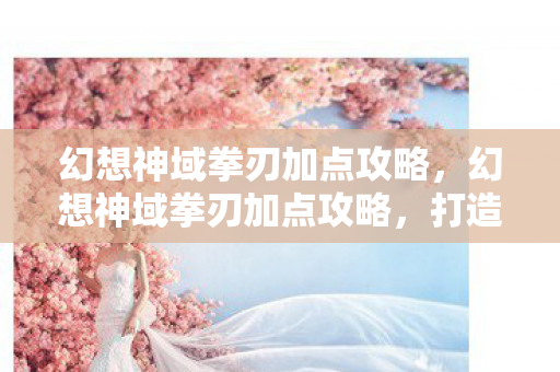 幻想神域拳刃加点攻略，幻想神域拳刃加点攻略，打造最强近战输出