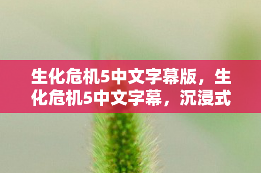 生化危机5中文字幕版，生化危机5中文字幕，沉浸式观影体验