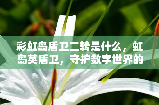 彩虹岛盾卫二转是什么，虹岛英盾卫，守护数字世界的坚固防线