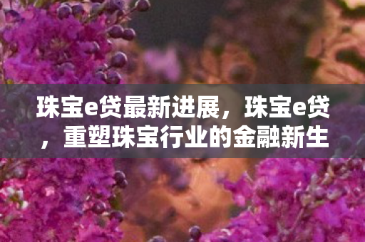 珠宝e贷最新进展，珠宝e贷，重塑珠宝行业的金融新生态