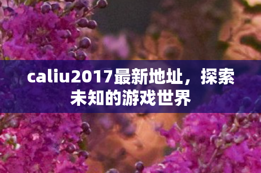 caliu2017最新地址，探索未知的游戏世界