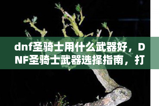 dnf圣骑士用什么武器好，DNF圣骑士武器选择指南，打造最强辅助与输出