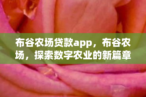 布谷农场贷款app，布谷农场，探索数字农业的新篇章