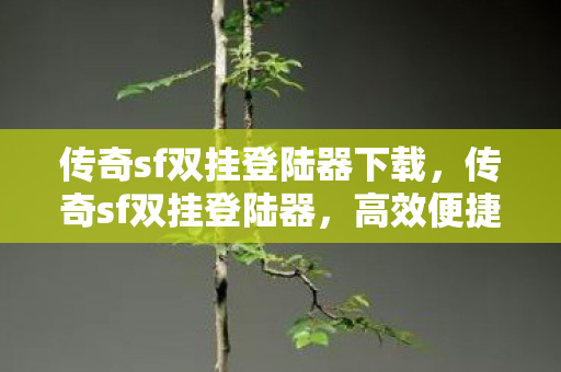 传奇sf双挂登陆器下载，传奇sf双挂登陆器，高效便捷的游戏体验