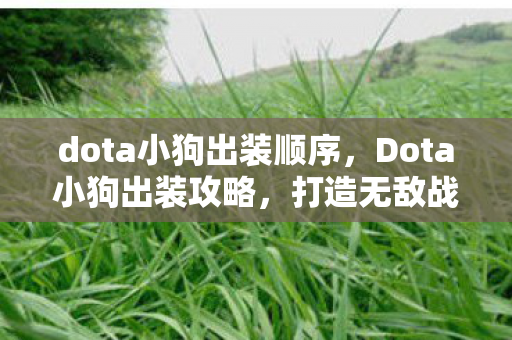 dota小狗出装顺序，Dota小狗出装攻略，打造无敌战斗力的关键步骤