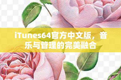 iTunes64官方中文版，音乐与管理的完美融合
