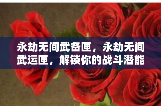 永劫无间武备匣，永劫无间武运匣，解锁你的战斗潜能