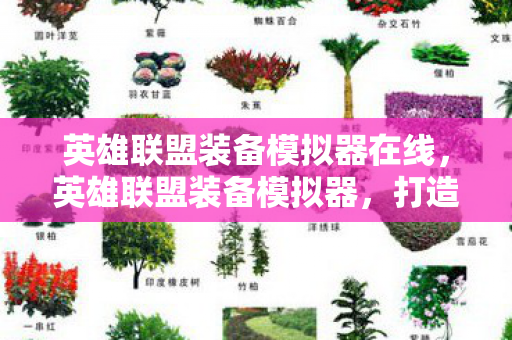 英雄联盟装备模拟器在线，英雄联盟装备模拟器，打造个性化英雄之路