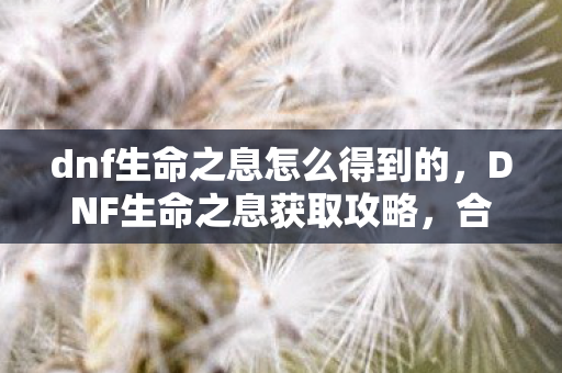 dnf生命之息怎么得到的，DNF生命之息获取攻略，合法途径与高效方法
