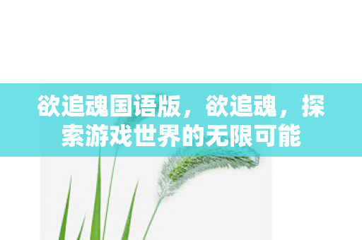 欲追魂国语版，欲追魂，探索游戏世界的无限可能